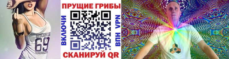 Галлюциногенные грибы Psilocybine cubensis  Называевск 